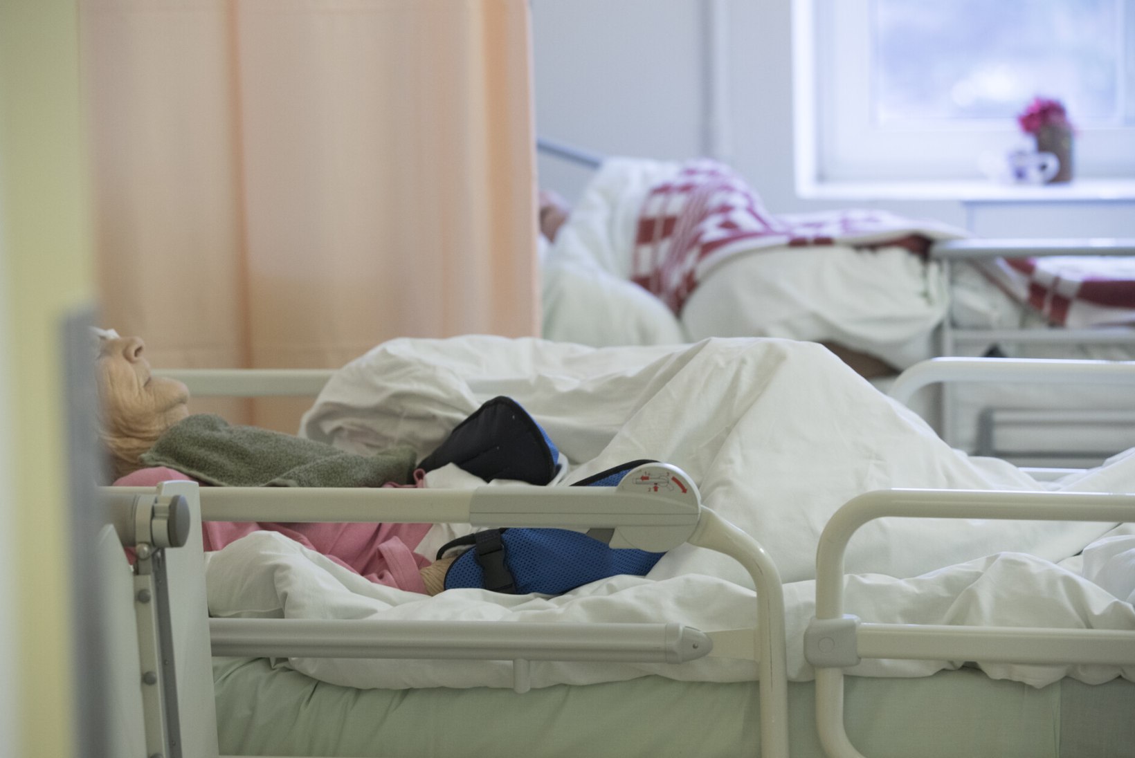 ÕL ARHIIV | HIRM JÄÄDA ELAVAKS JUURVILJAKS! Mille taha on takerdunud patsiendi elulõpu tahteavalduse loomine?