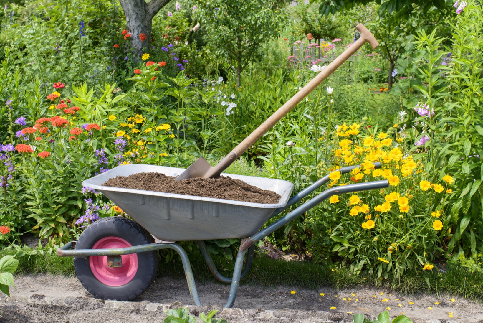 Muld ei ole lihtsalt muld! Teeme kindlaks, kuidas määrata aia mullakoostist ja leida sinna sobivad taimed