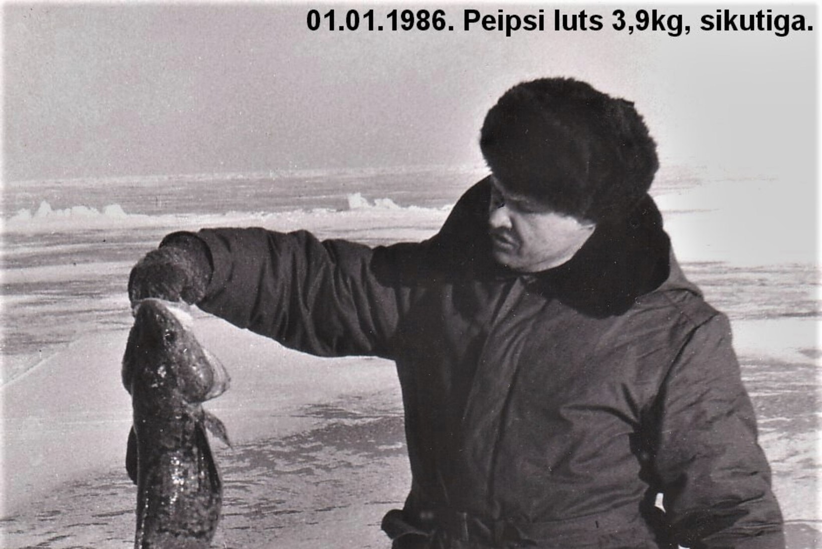 Veterankalamees Katenevi päevikud 1985-1986: tööd palju, kalale enam nii tihti ei pääse