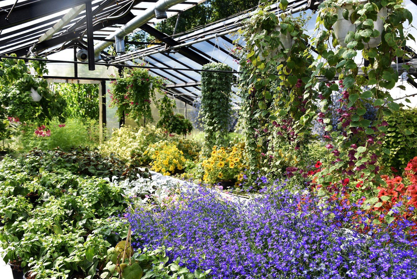 GALERII | Värvikas lugejareis mööda Eestimaa kauneimaid aedu