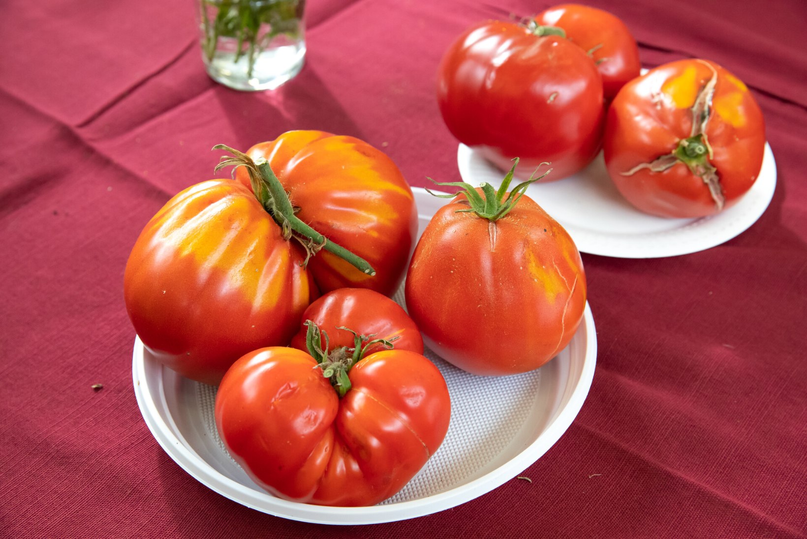 HEA TEADA: 7 põhjust, miks küpsetest tomatitest isu täis süüa