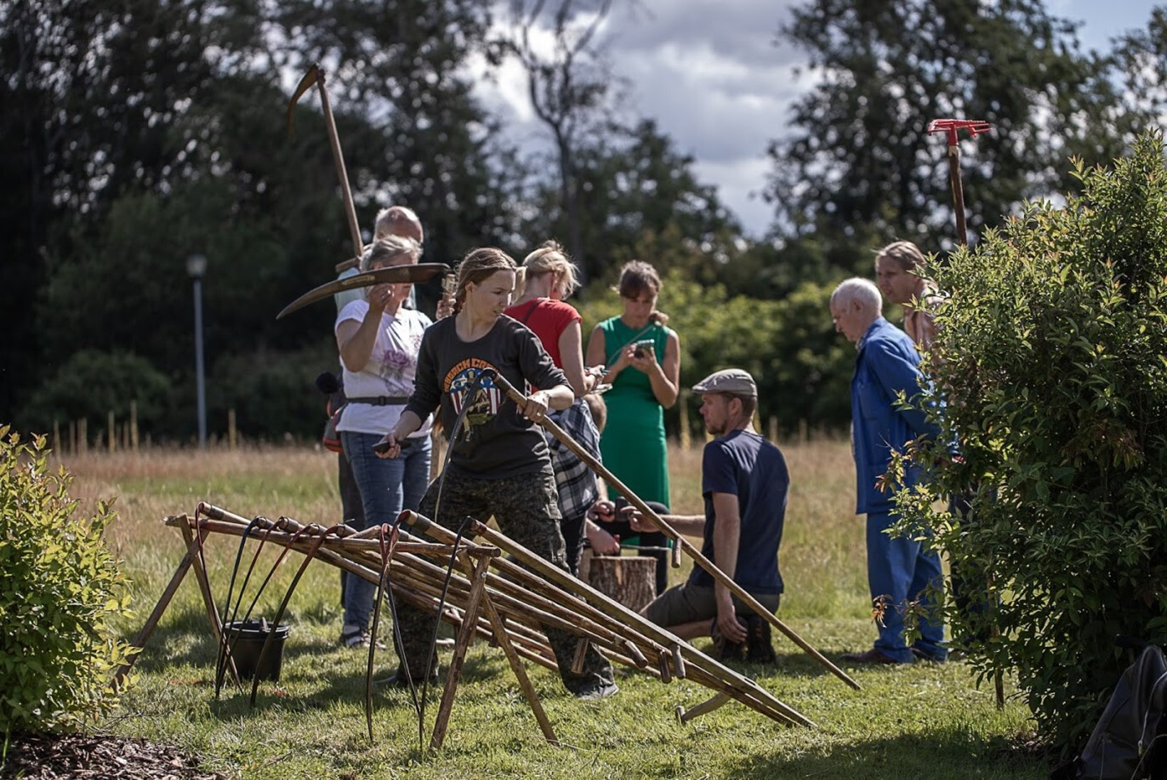 Tallinna Botaanikaaias treenitakse vikatiga niitmist ja niidutaimede tundmist