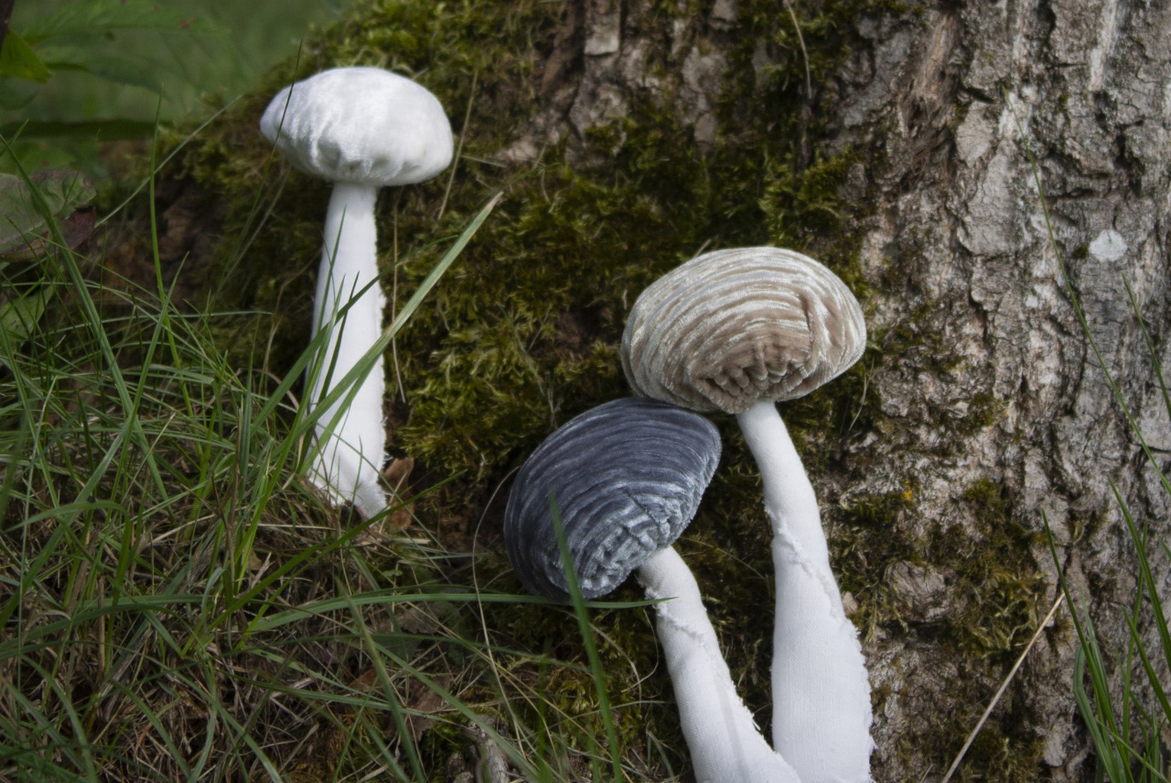 TEE ISE | Täida seenekorv sametise kübaraga seenemikkudega