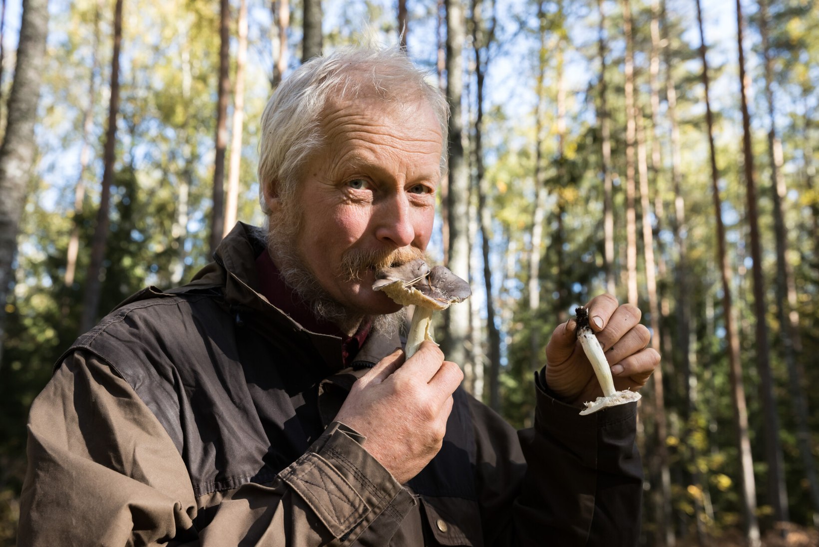 ÕL ARHIIV | Bioloog Tõnu Ploompuu määrab sügava sügise vähetuntud seeni: mis viib keele alla, mis aga mullatoidule