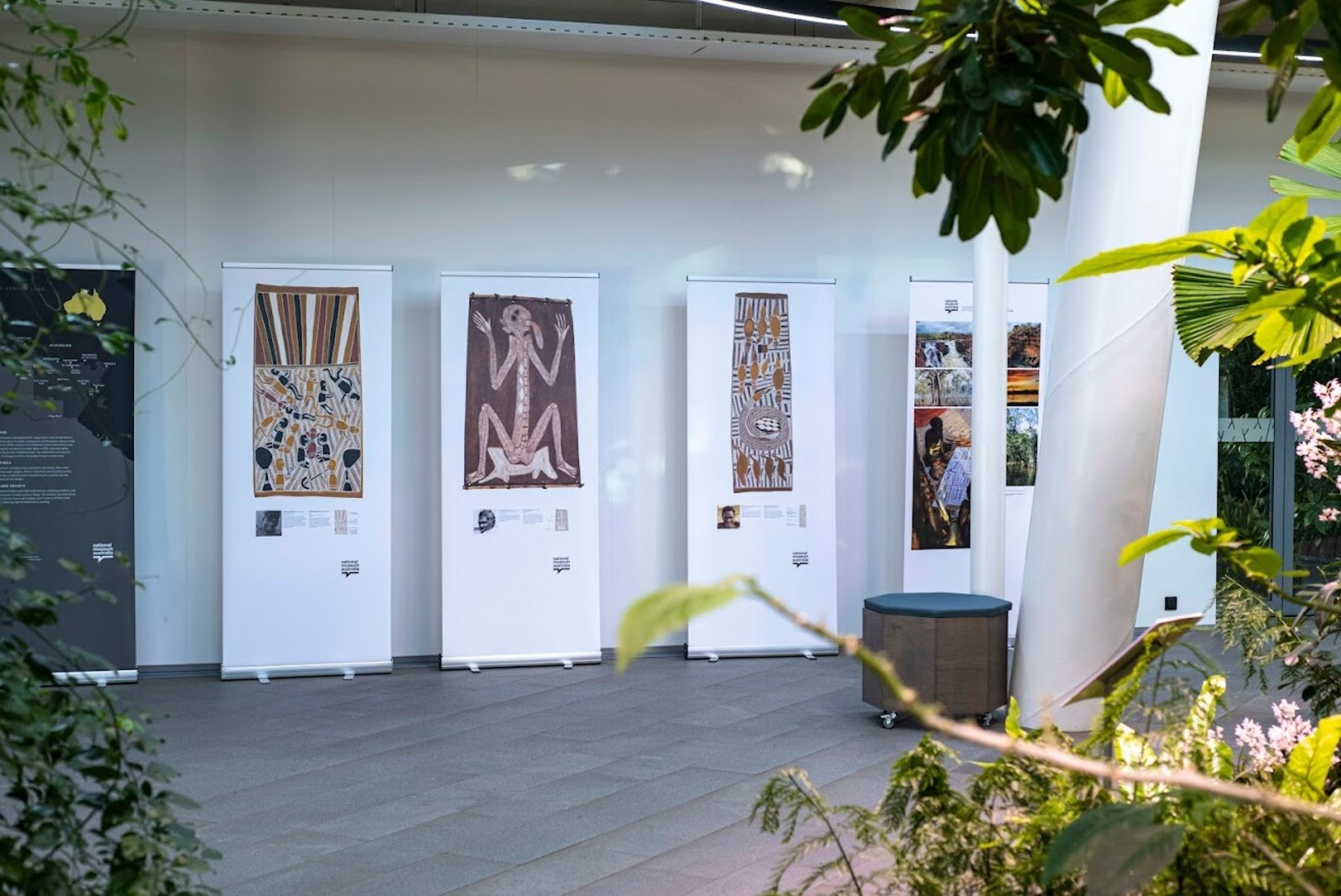 Tallinna Botaanikaaed jätkab Taimeriigi Suursaatkonnana, jaanuaris näeb Austraalia puukoorekunsti