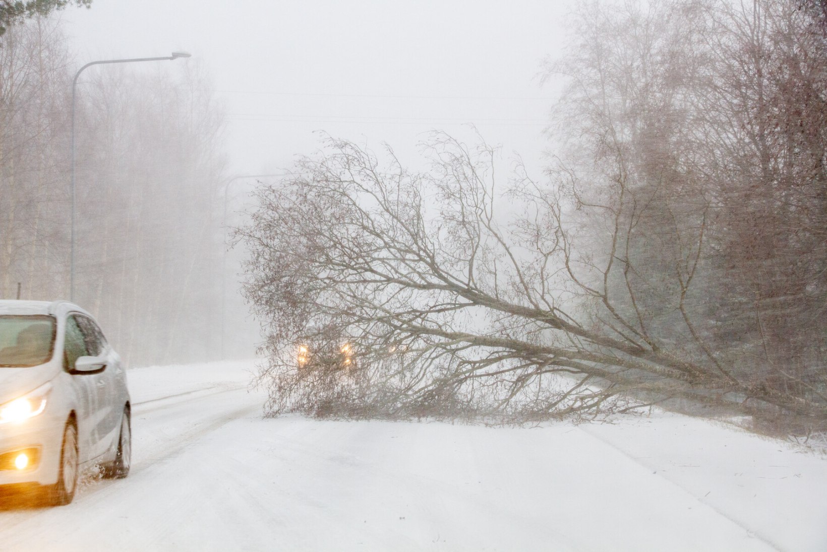 BLOGI,  GALERII JA VIDEO | Jaanuaritorm Hanneloore möllas üle Eesti, katused lendasid ja puud kukkusid teedele