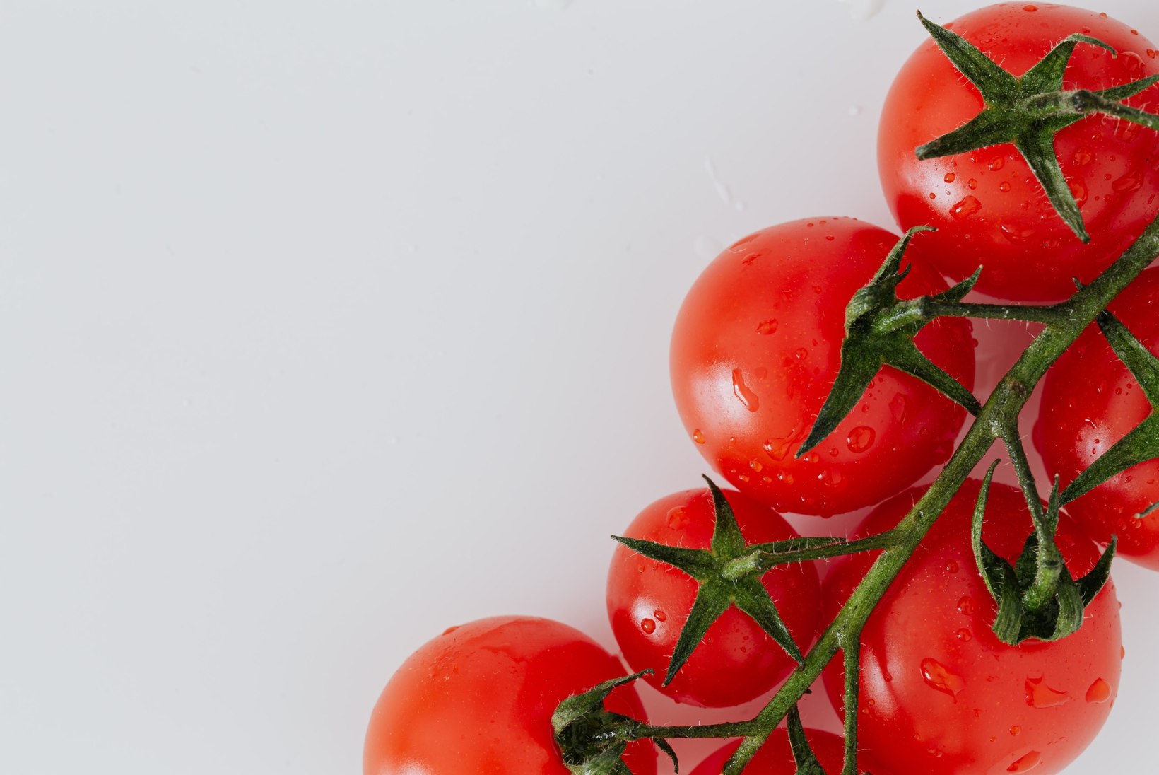 Häiresüsteem hoiatab tomatit rünnaku eest