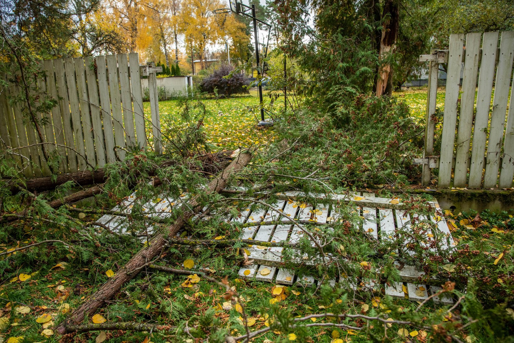 FOTOD | Maru möllas Eestimaal: tuul rebis katuseid ja tuhanded jäid elektrita