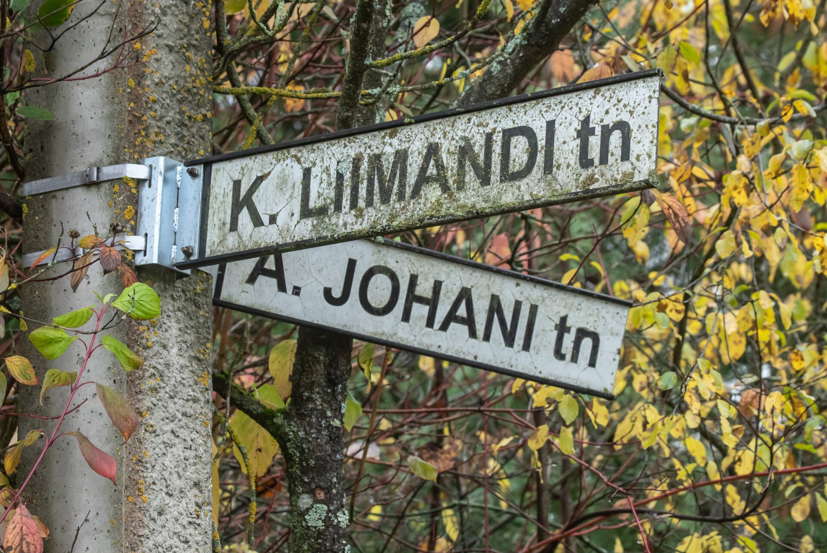 AJALOO PRÜGIKASTI: venelaste poolel võidelnud Tartu kunstnike järgi nimetatud tänavad saavad uued nimed