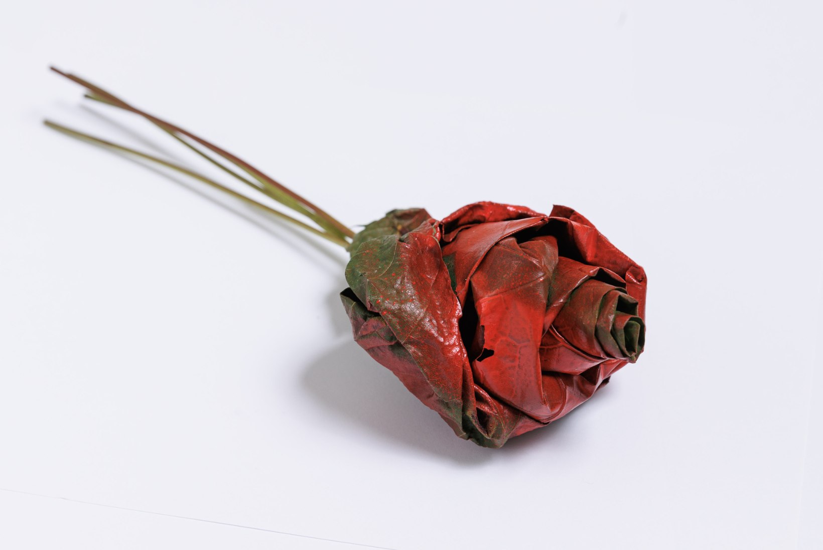 TEE ISE: romantikat loovad vahtralehtedest roosid
