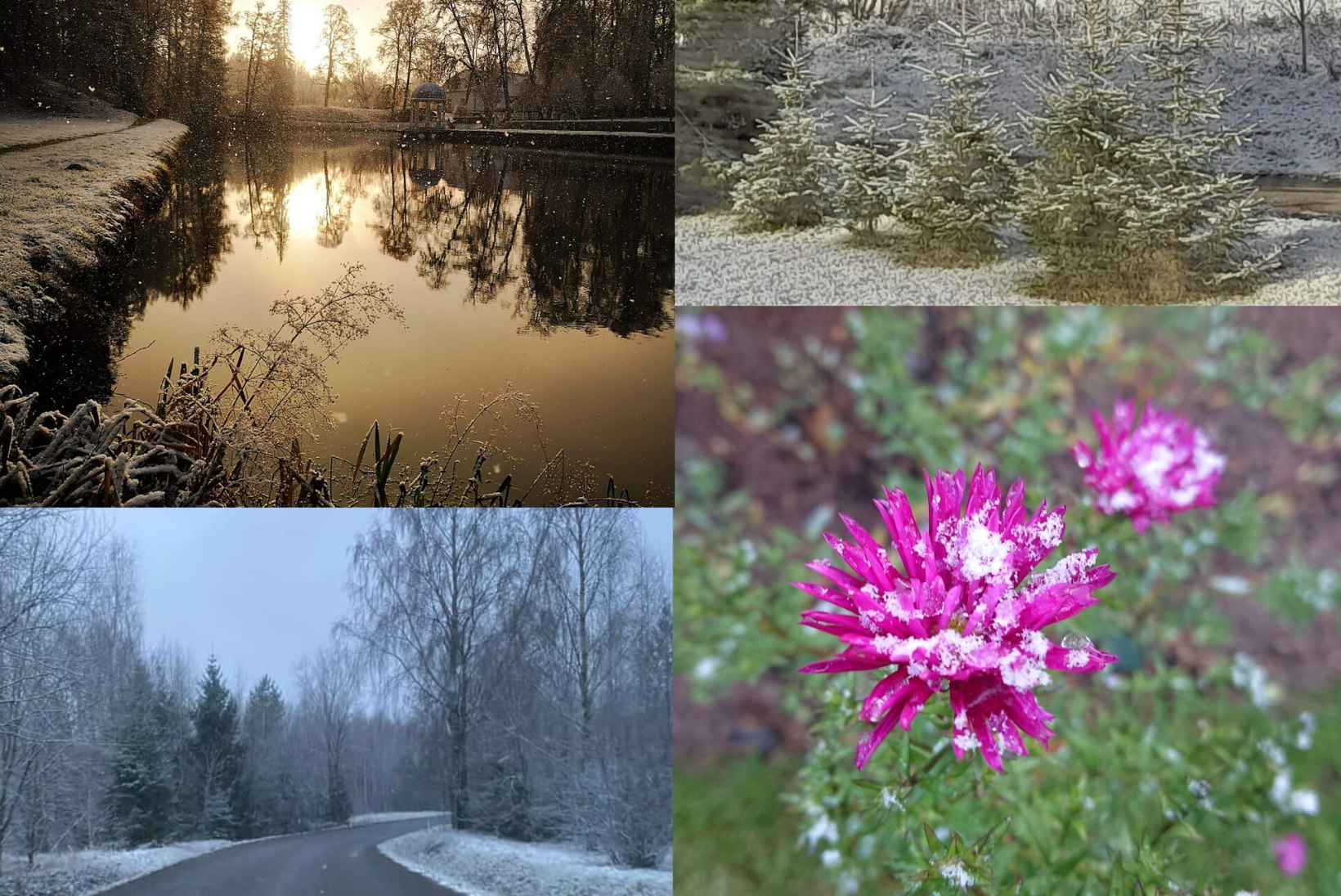 GALERII | Mitmel pool Eestis sajab lund! Nädalavahetuse ööd on külmad