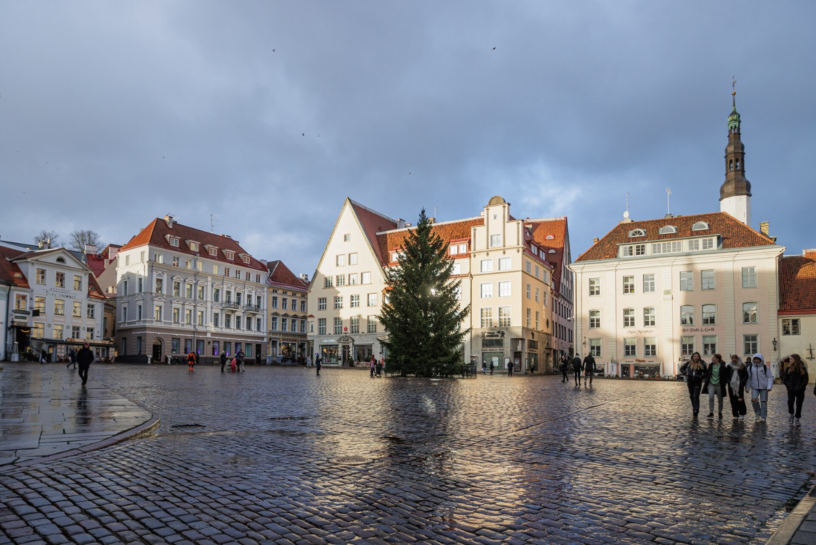GALERII | Jõulukuuse teekond Tallinna Raekoja platsile algas hommikuhämaruses ja lõppes videvikul