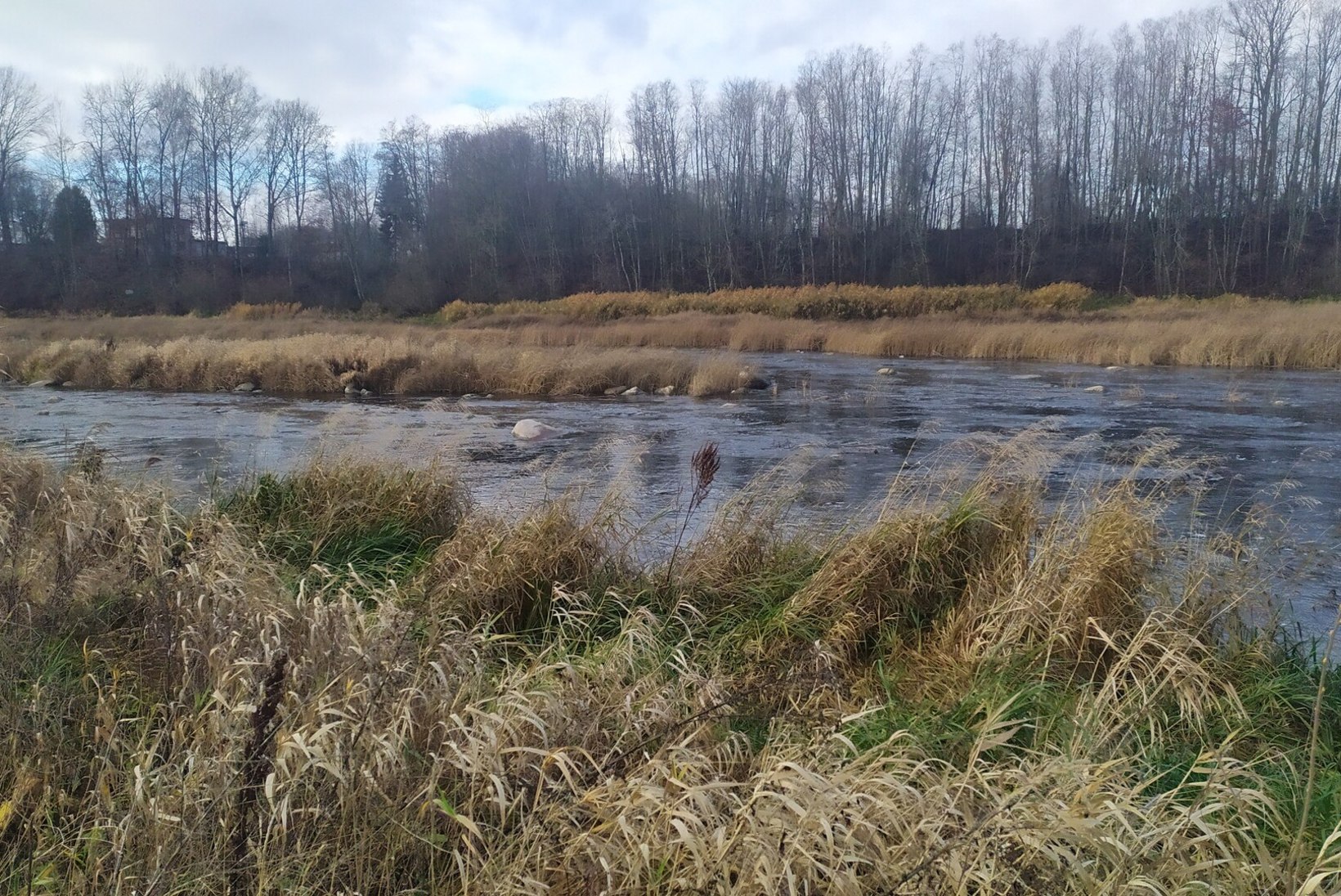 Püügipiirangud Pärnu jõel: kalapüük vees viibides on keelatud