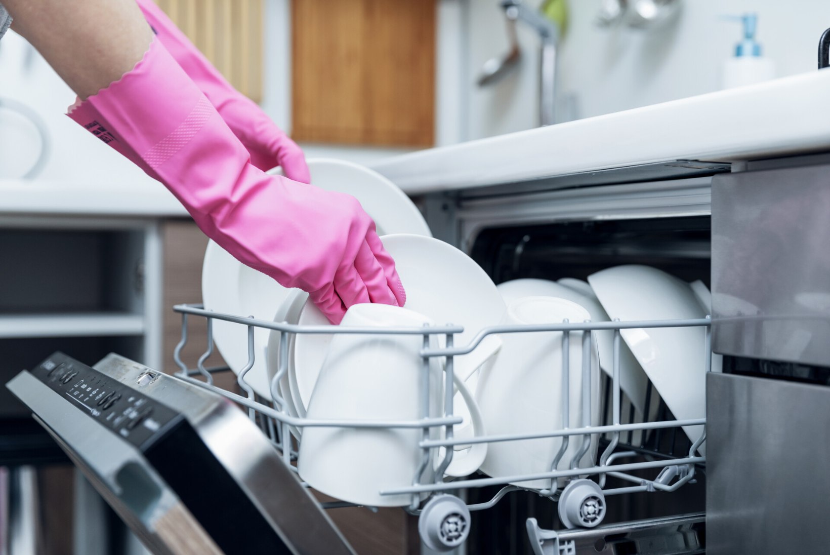 Lugejakiri | Kes peseks tualetiharja nõudepesumasinas?!