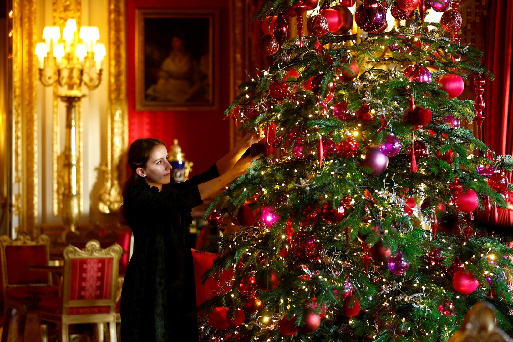 GALERII | Windsori imedemaa! Lossi ehivad tuhanded sädelevad tuled ja kuue meetri kõrgused jõulupuud