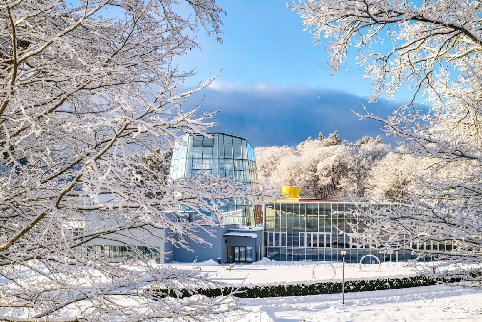 PILET ÜKS EURO: Tallinna Botaanikaaed tähistab 1. detsembril sünnipäeva