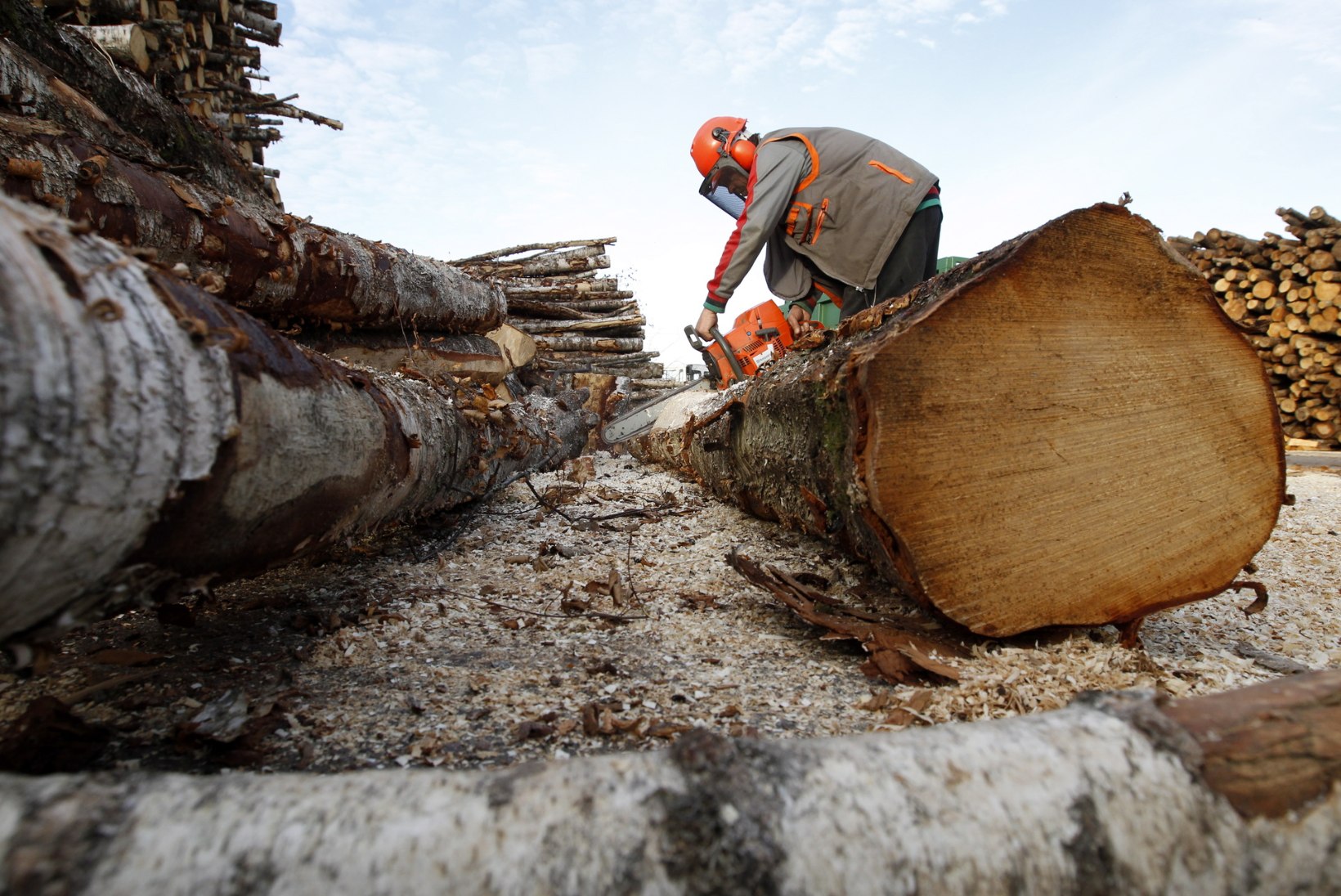 USU VÕI MITTE: puiduga kütmine annab mitmekordse hinnavõidu