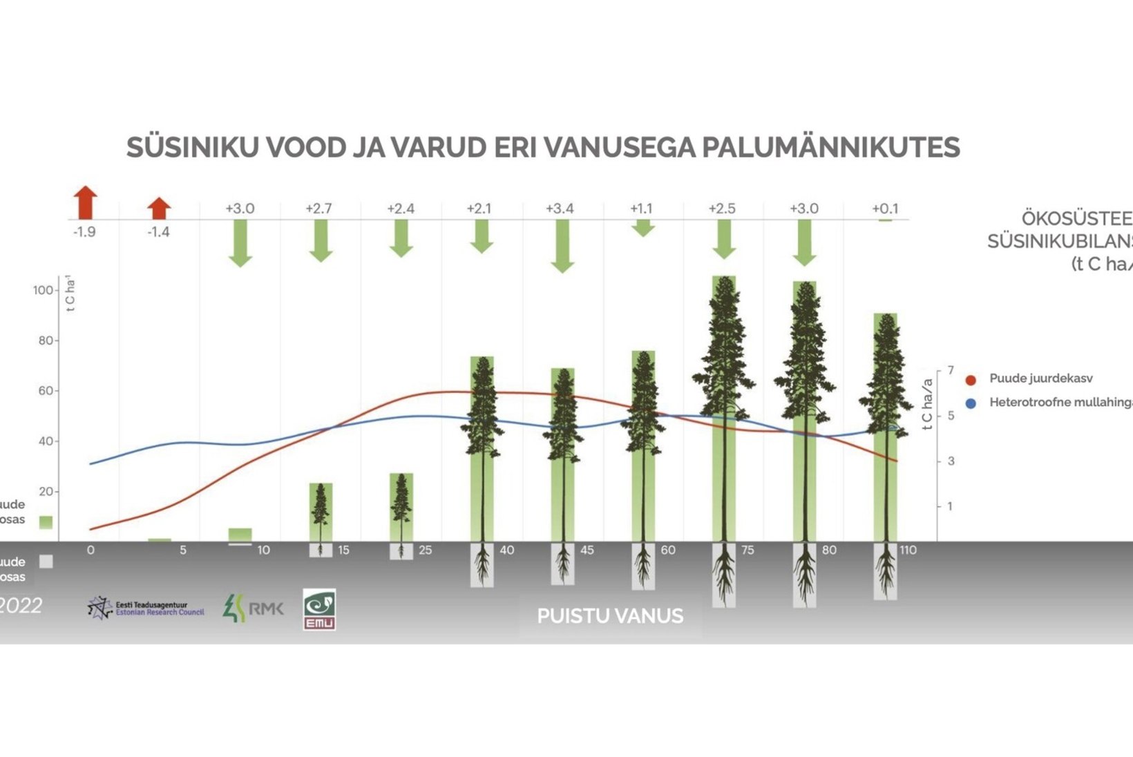 Teadusuuring: efektiivselt seovad süsinikku noored ja keskealised metsad