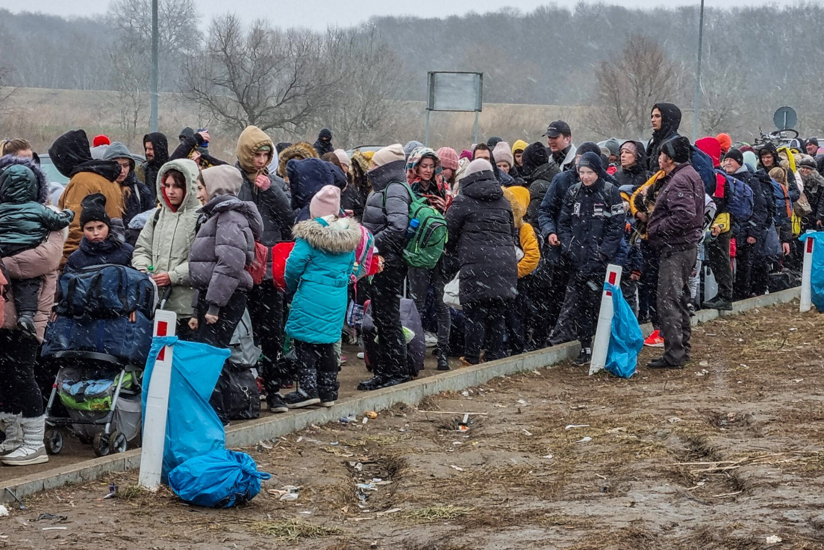 Milliseid toetusi saavad Eestisse jõudnud Ukraina sõjapõgenikud?