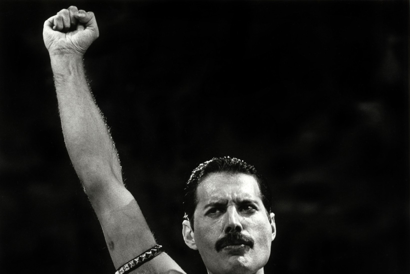 „Korraldame Freddie Mercuryle ajaloo uhkeima ärasaatmise!“