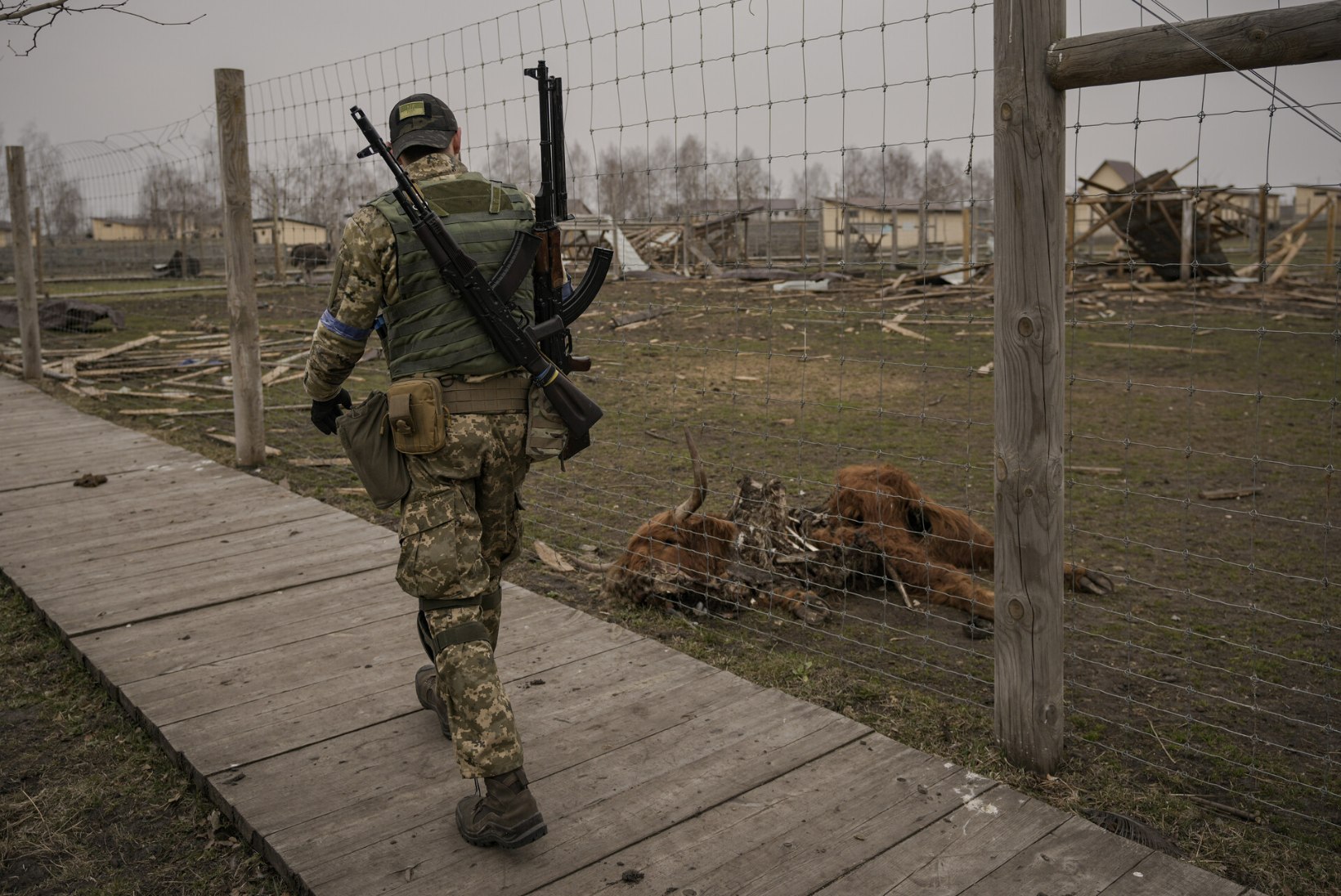 Ukraina loomaaedade argipäev: pidev pommirahe, purustused ja surm