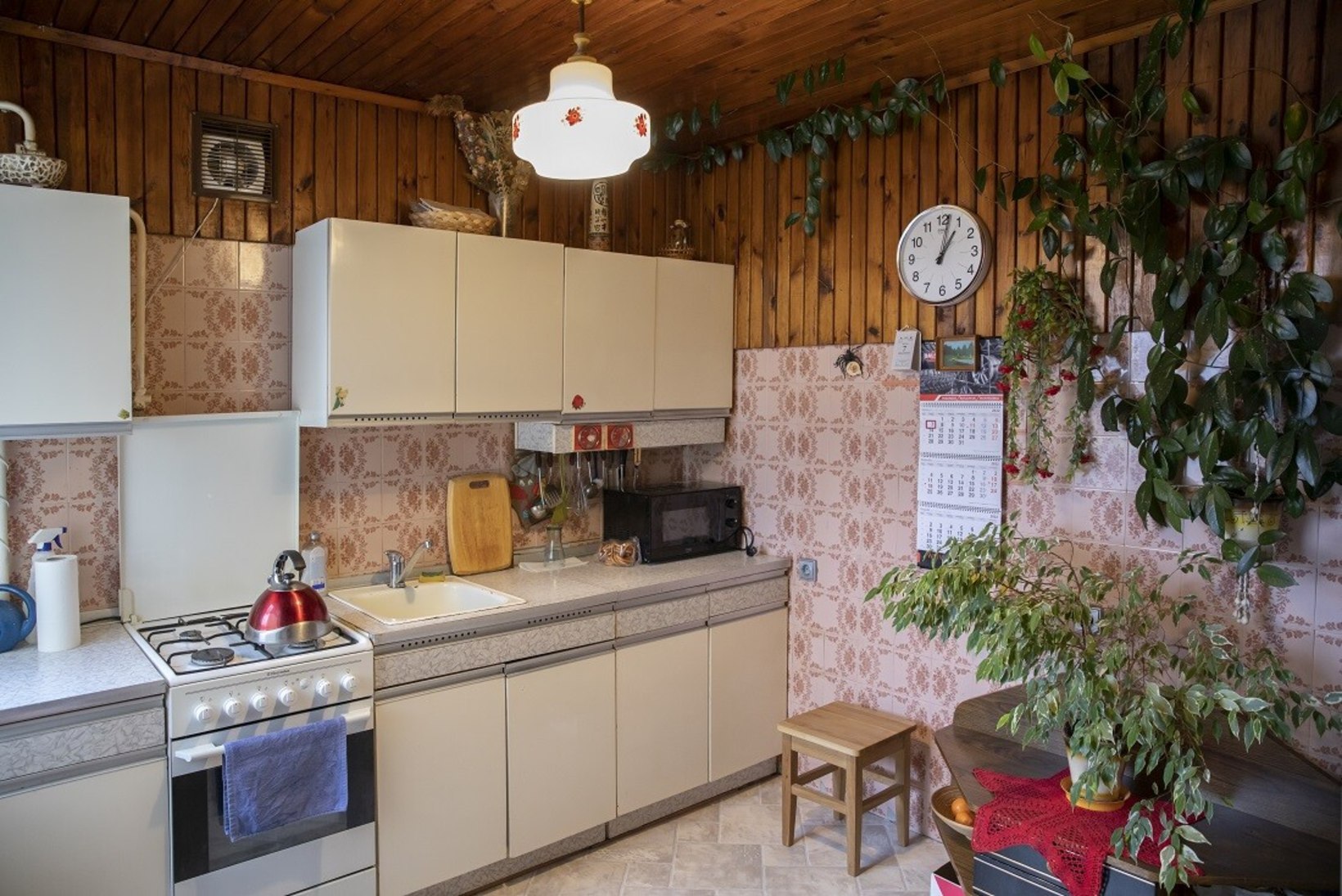 FOTOLUGU | ENNE JA PÄRAST: mis muutis nõukogudeaegse köögi maitsekaks?
