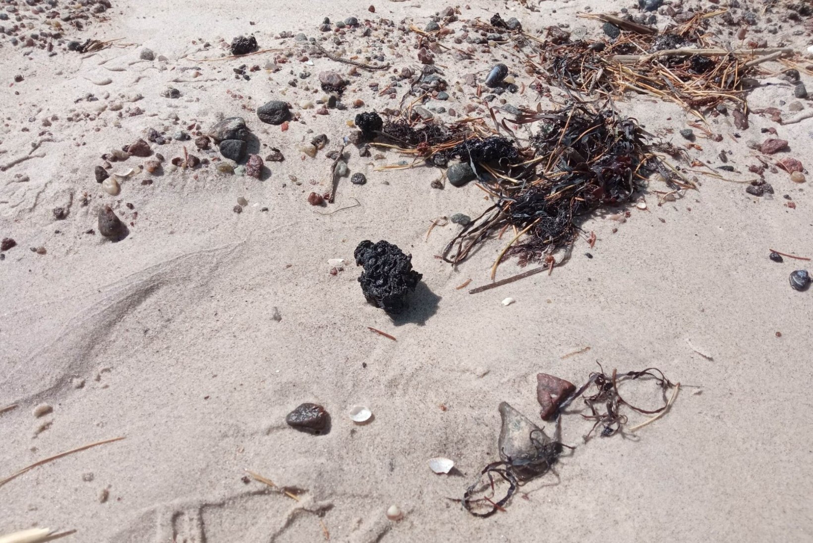 Vormsil ja Hiiumaal on rannikult avastatud ulatuslik reostus