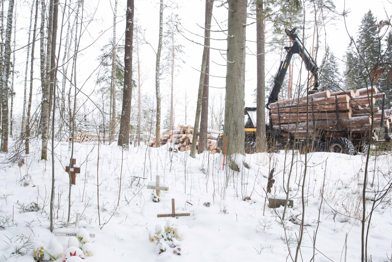 Miks on Eestis vaja rakendada kaasava metsakorralduse süsteemi?