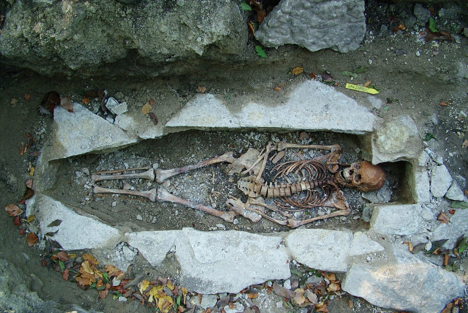 Lahendamatu saladus: kuhu on maetud Eestis tapetud svealaste muinaskuningas Ingvar