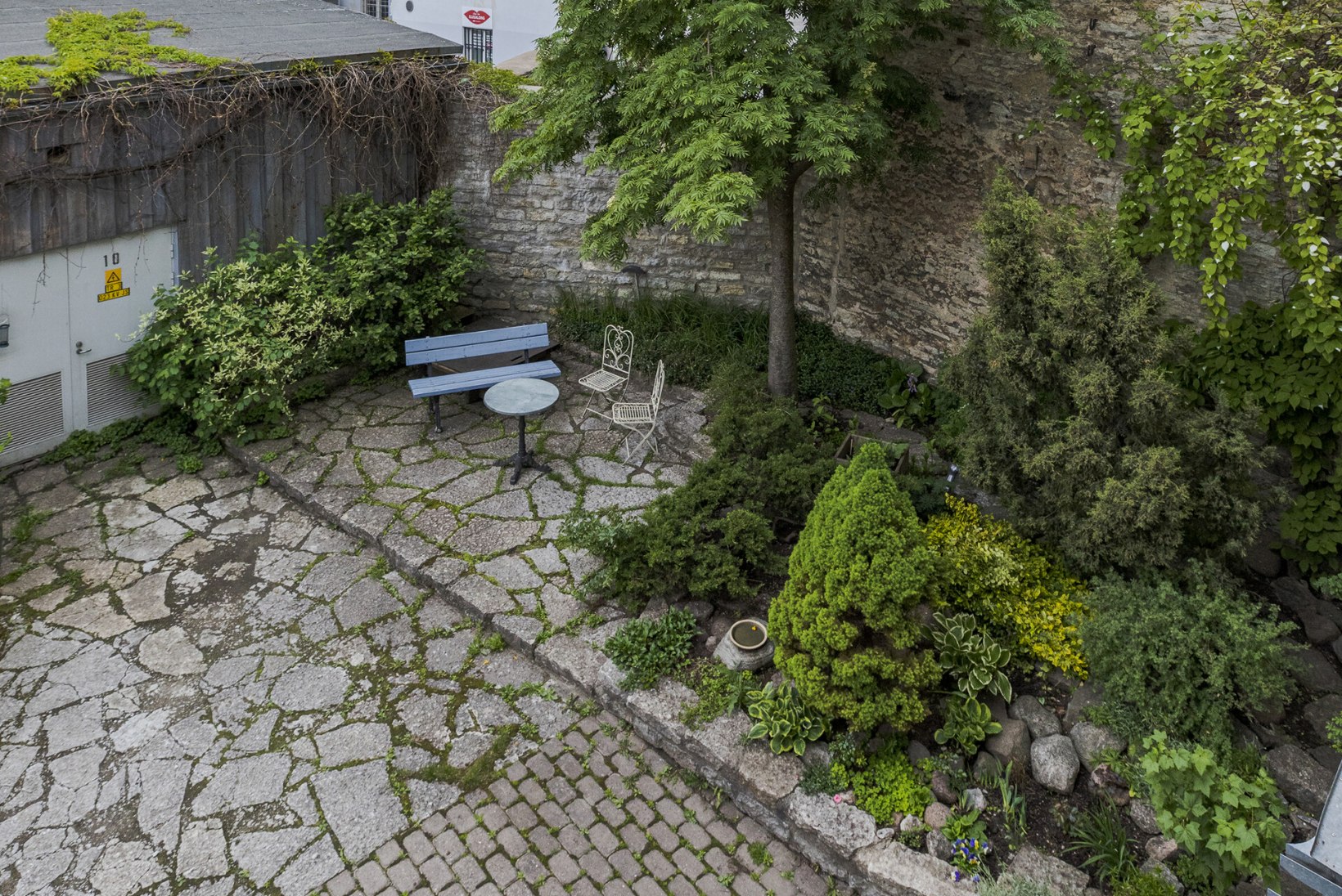 FOTOLUGU | Vaata Tallinna vanalinna kauneimaid aedu. Väravate taga on peidus tõelised oaasid