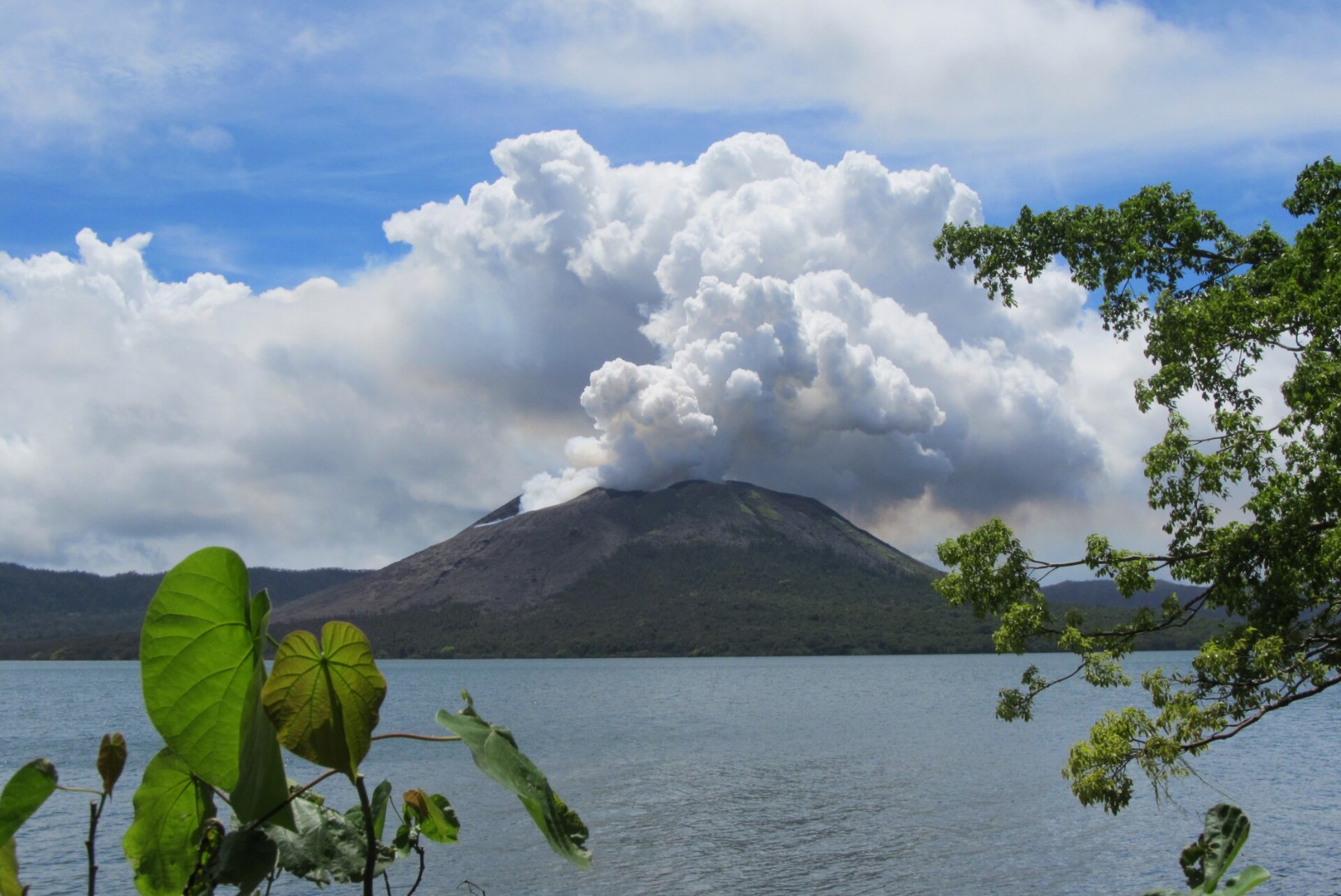 Kalateadlase keerulised küsimused: kus käib kudemas vulkaani otsas elav angerjas?