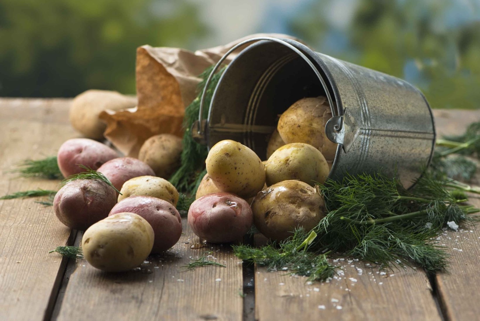 EESTLASE SUVEGURMEE: mida teha värskest kartulist + 6 tervislikku retsepti