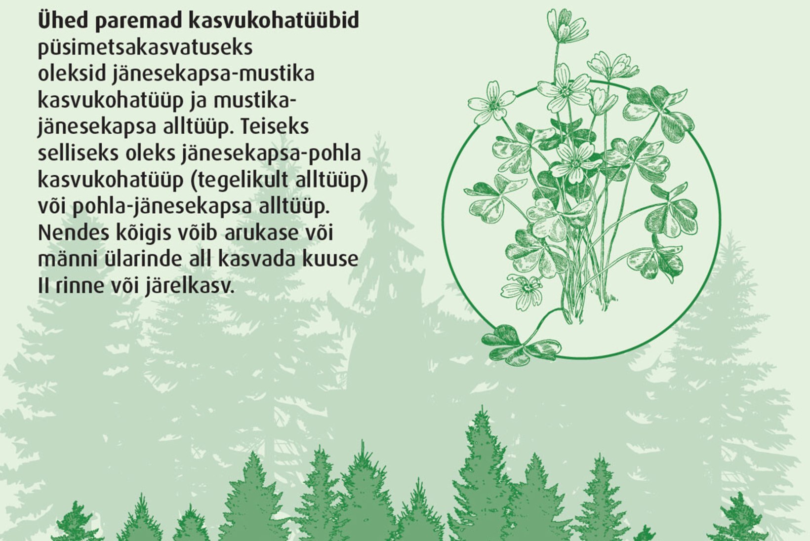 Metsa järgulise majandamise ja jätkukasvatuse raietest Soome näitel. 3. osa