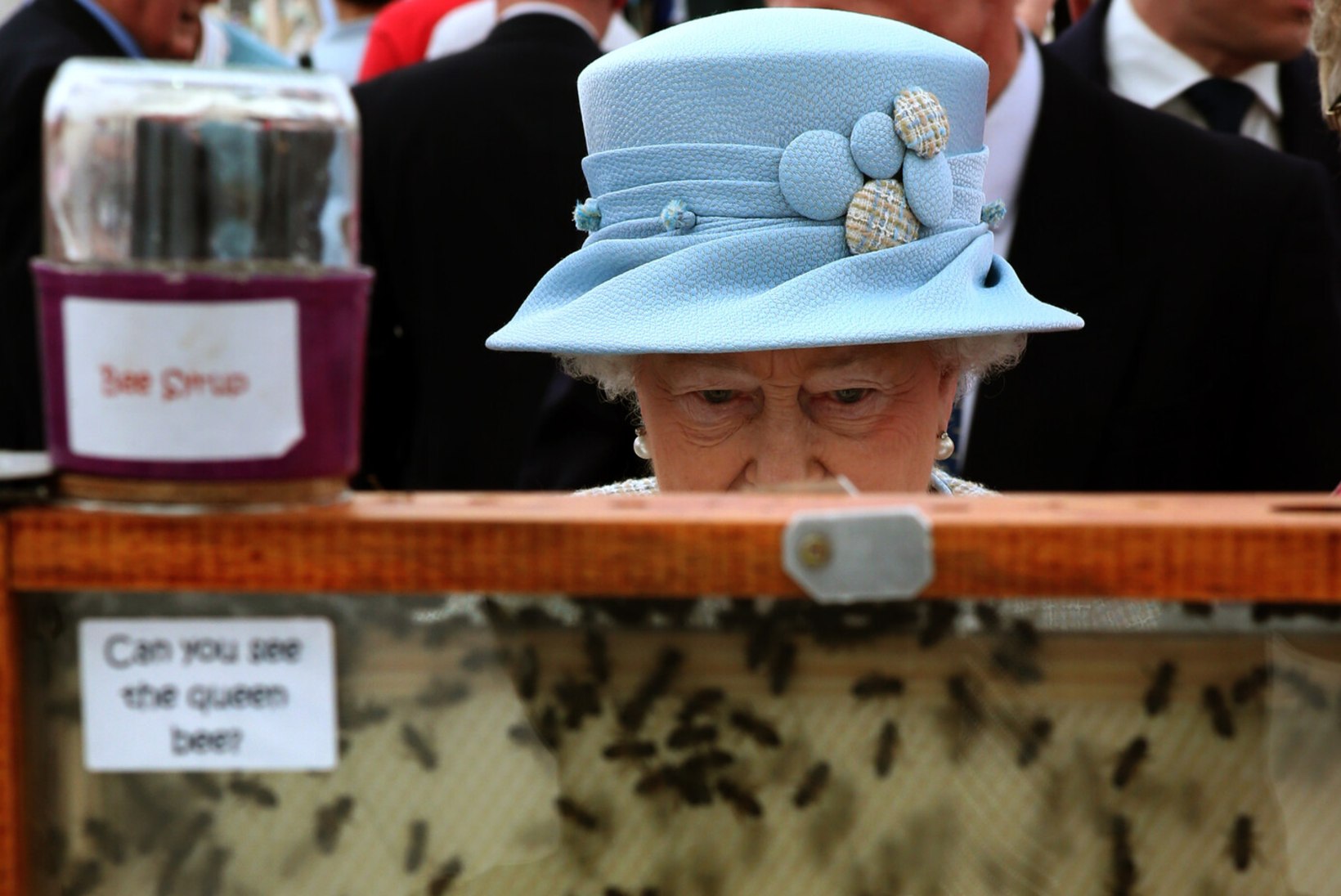 ERILINE KOMME: kuninganna surmast teatati ka tema mesilastele