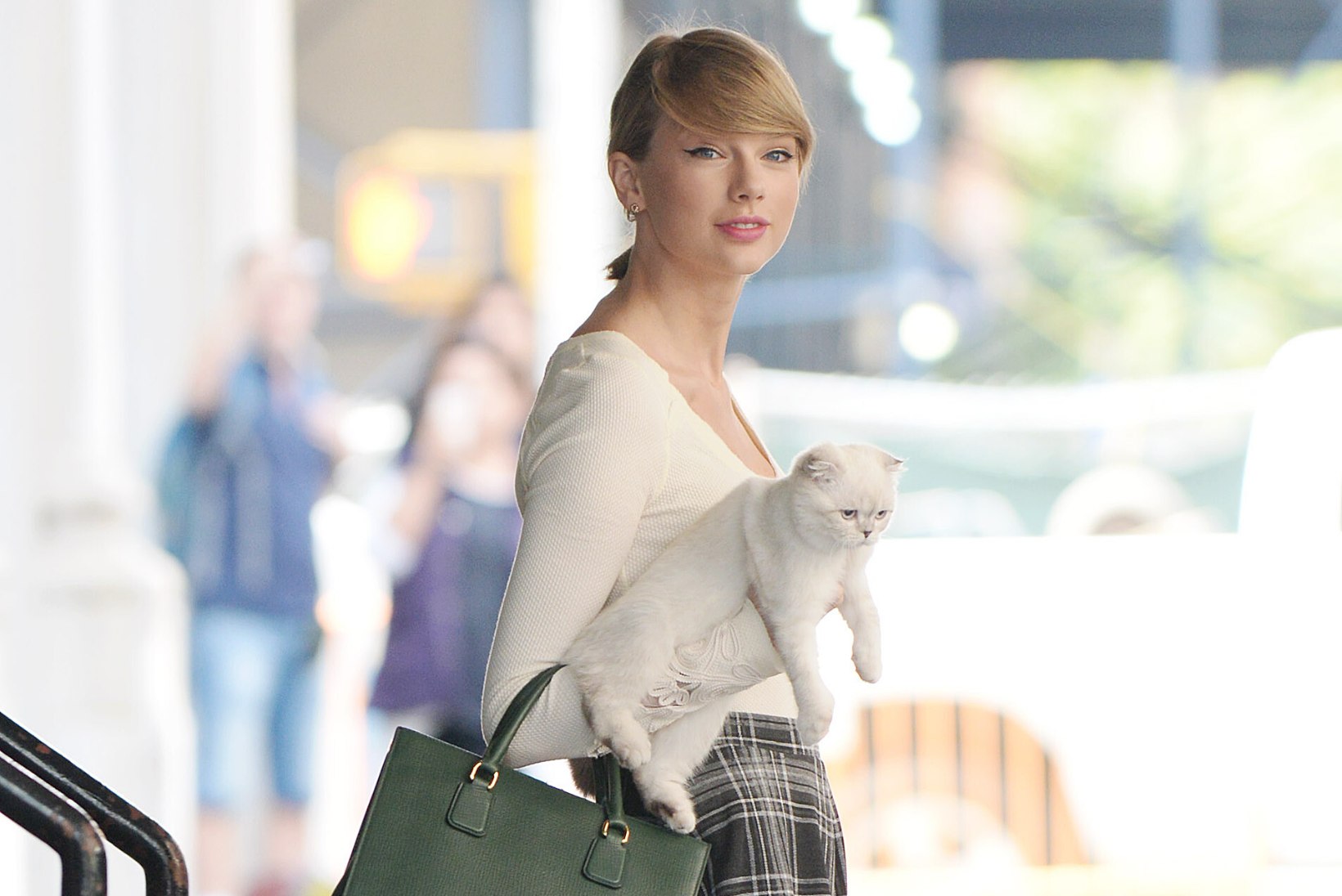 MAAILMA RIKKAIMAD JA MÕJUKAIMAD LEMMIKLOOMAD: Taylor Swifti kass on kokku kraapinud ligi 100 miljonit dollarit!