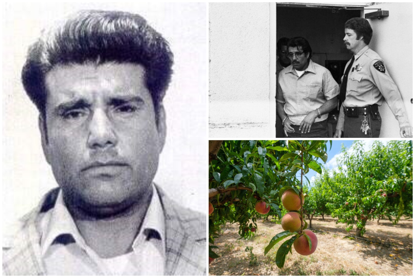 LAIBAD VIRSIKUAIAS: saladuslik Corona tappis poole sajandi eest kümneid rändtöölisi