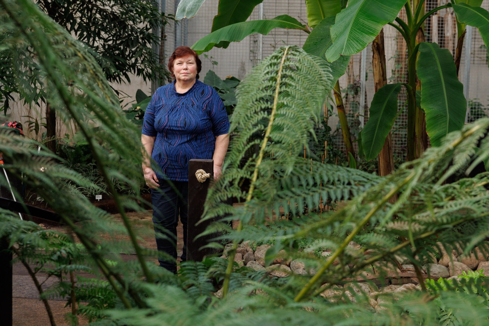 Tallinna loomaeda rajatud Pilvemetsa aednik annab nõu: kuidas hoolitseda troopiliste taimede eest ja millised neist saavad igas kodus hakkama?
