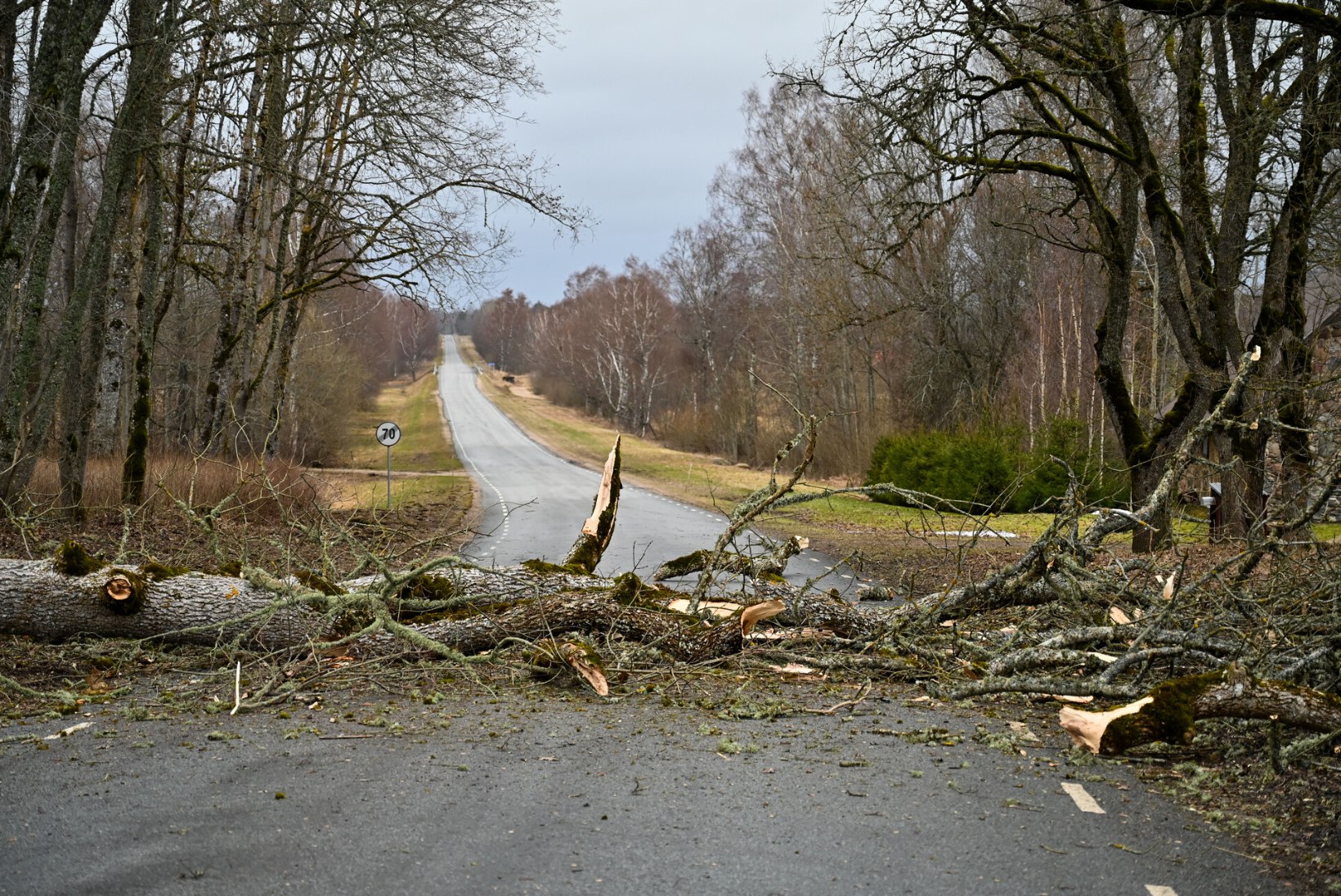 GALERII | Tugeva tuule tõttu murdusid puud ja kadus elekter