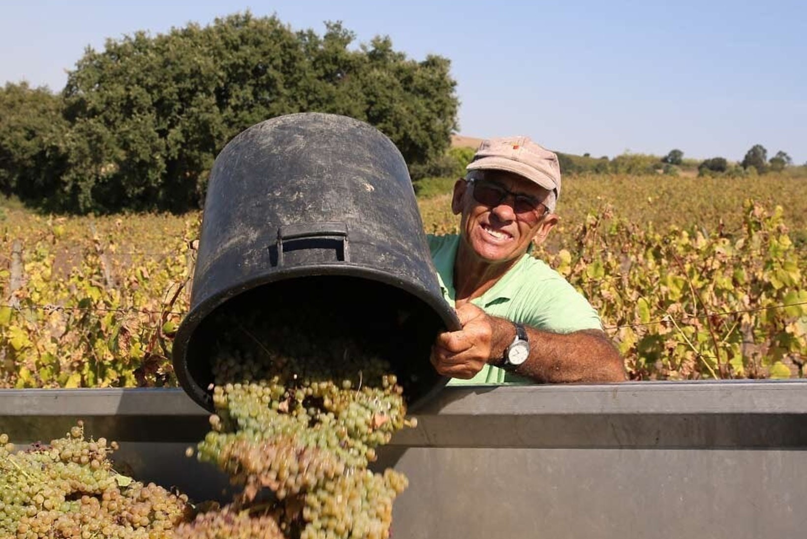 GALERII | VEINIMEISTRITE MAA: „Siit leiab üha uusi ja uusi veine, omanäolisi veinimeistreid ja ennekuulmatuid viinamarjasorte.“