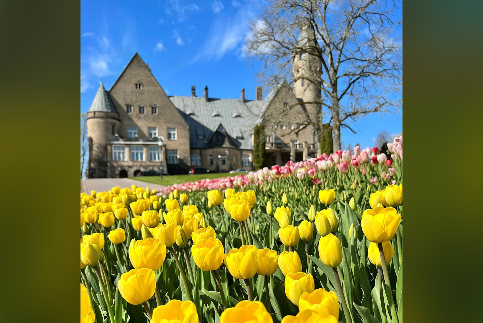 Võta kevad vastu Wagenküllis: turguta tervist ja välimust lossispaa luksuses