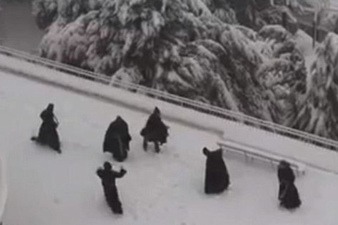 VAATA LAHEDAT VIDEOT: ootamatu tuisk ärgitas mungad lumesõda pidama