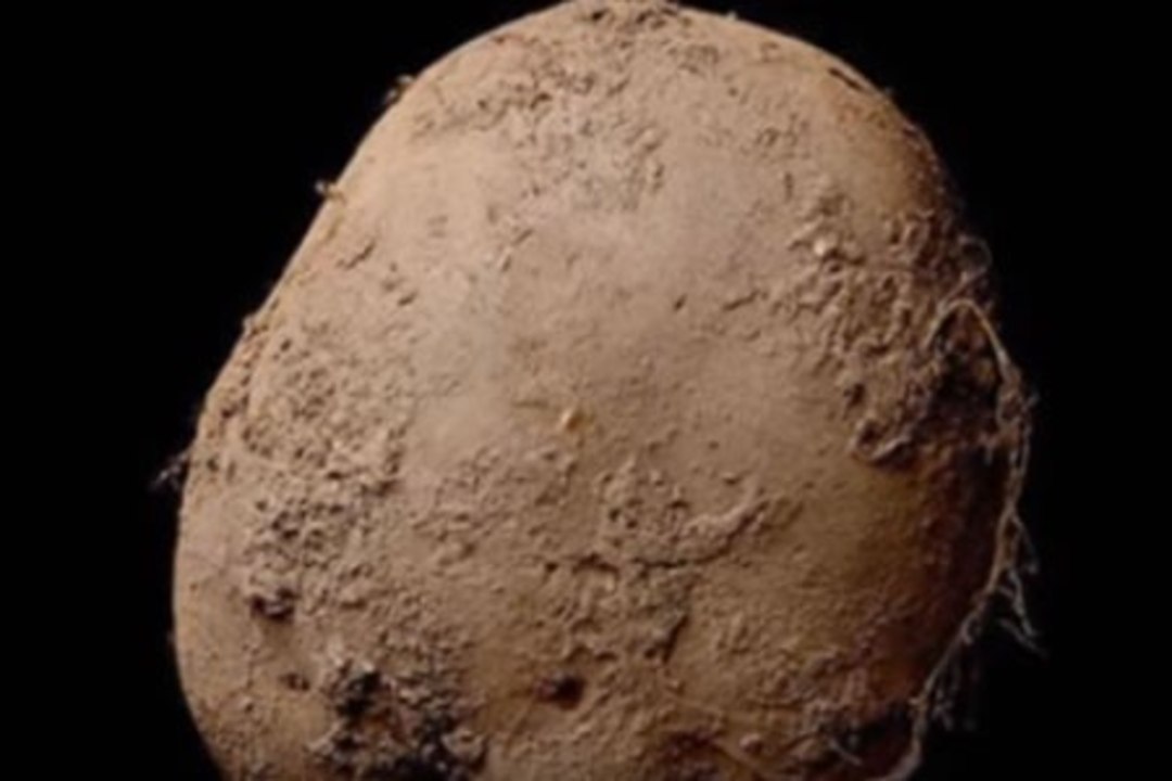 VIDEO | USKUGE VÕI MITTE: Miljonär maksis kartulifoto eest 1,5 miljonit dollarit