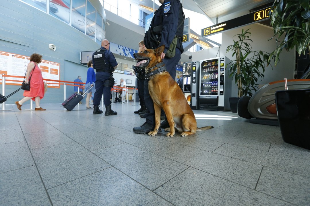 Olukord lennujaamas: lapsevanemad näitasid lastele politseikoera