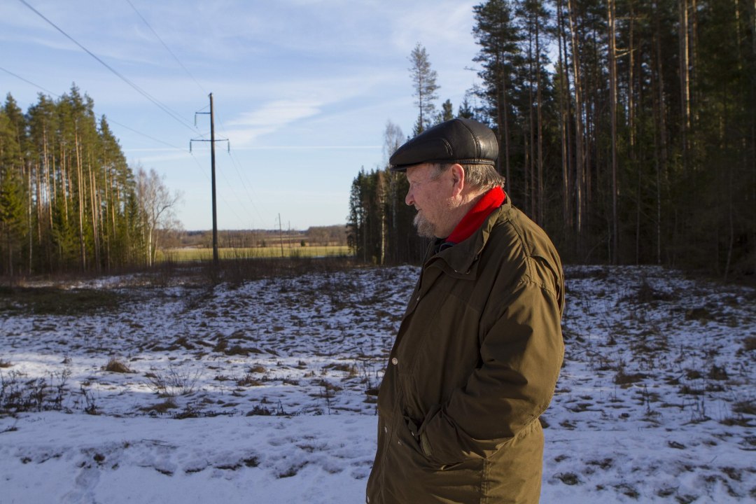 TALUNIK: elektriliinide pärast on mul kolm hektarit metsa ja maad kasutud