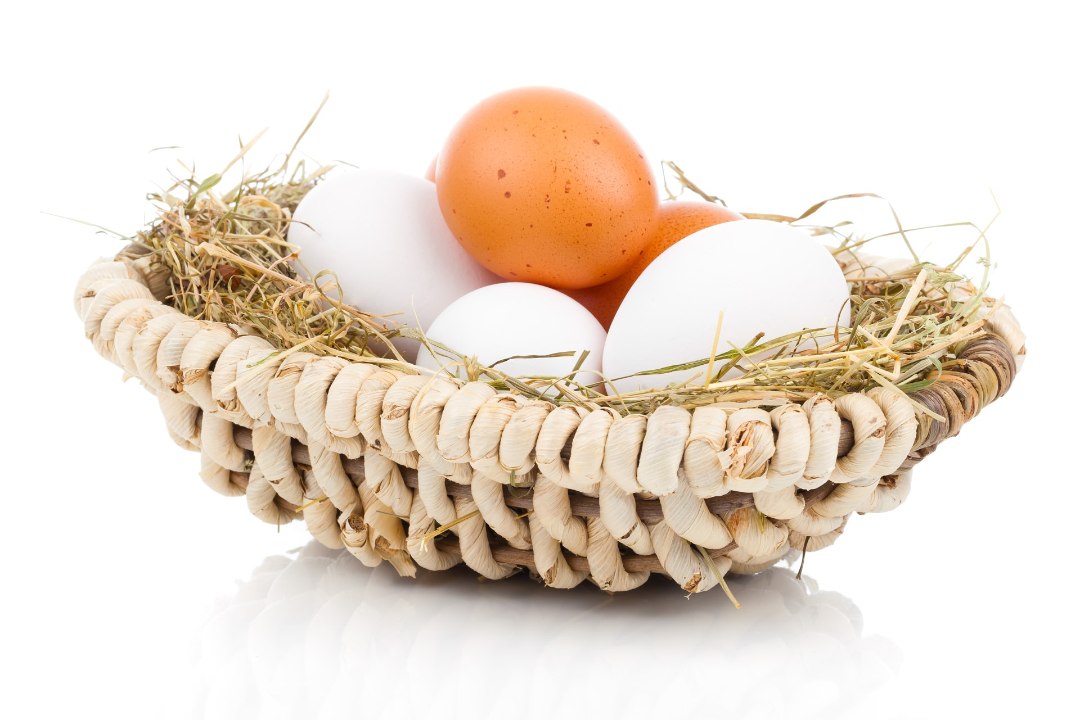 Kas pruuni koorega muna on valge koorega munast tervislikum?