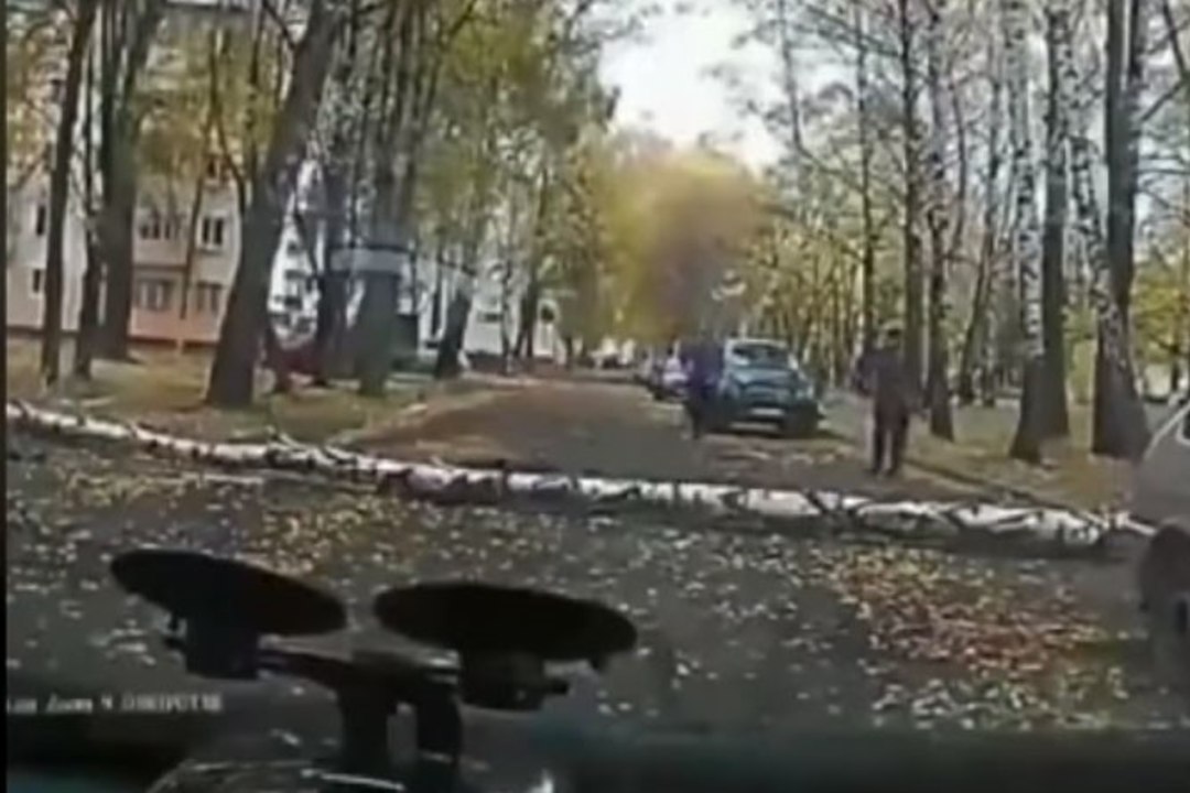 ÕUDNE VIDEO | Ootamatult tänavale kukkunud puu tappis jalakäija