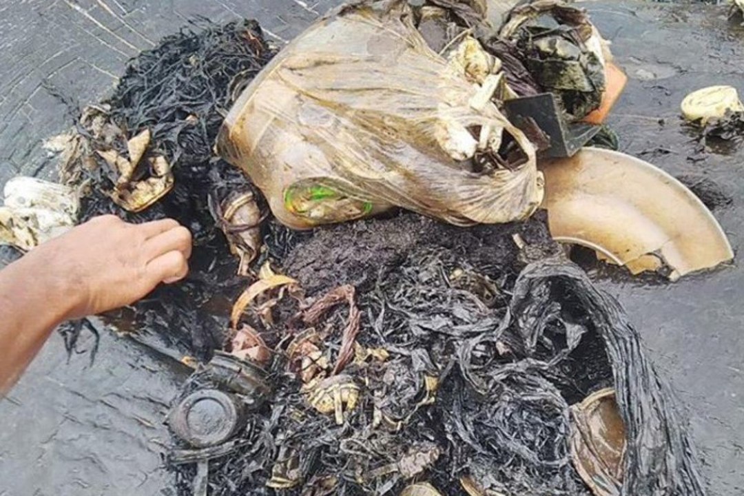 Kaldale uhutud surnud valaskala kõhust leiti 115 plasttopsi