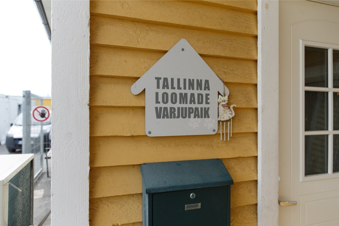 Tallinna Keskkonnaamet ja VTA Tallinna loomade varjupaigas rikkumisi ei tuvastanud