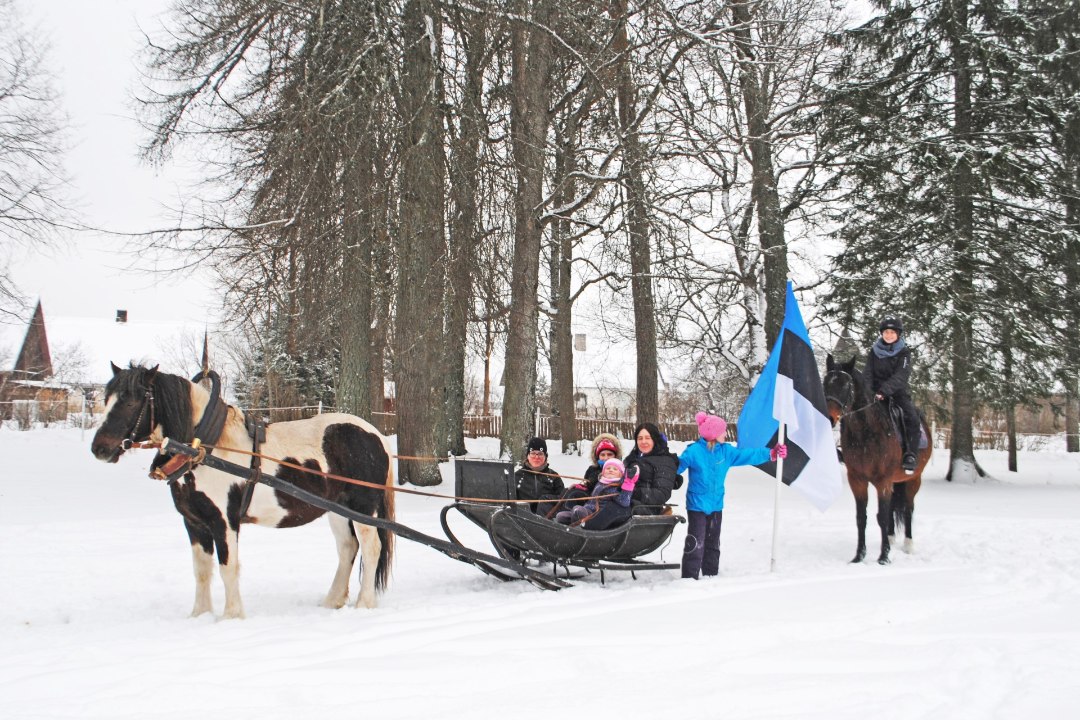 GALERII | Eesti hobusekasvatajad tegid Eestile kingituse