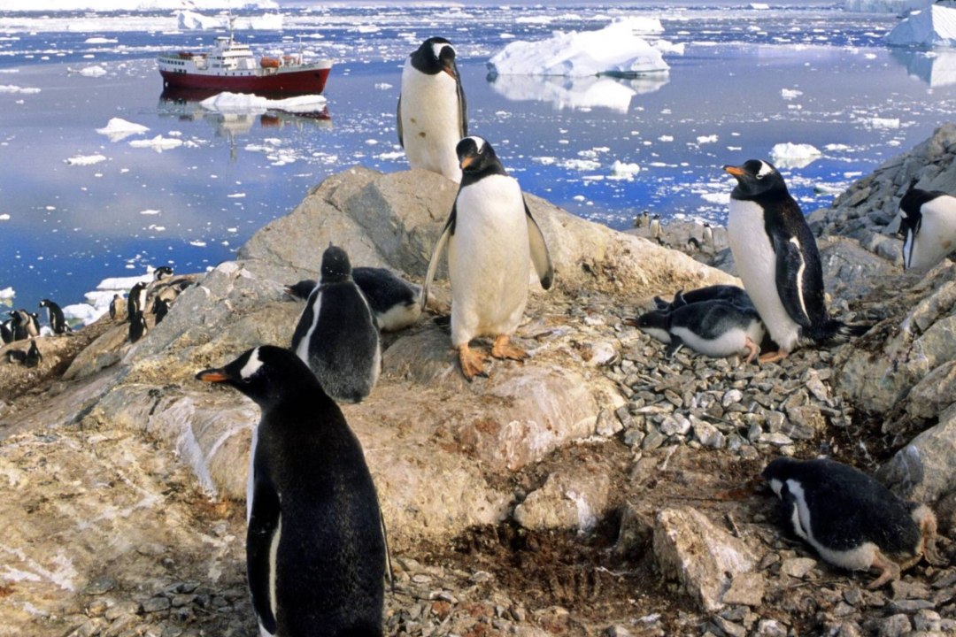 Rännumees Peeter Vähi: ainus täiesti eriline paik siin planeedil on Antarktika 